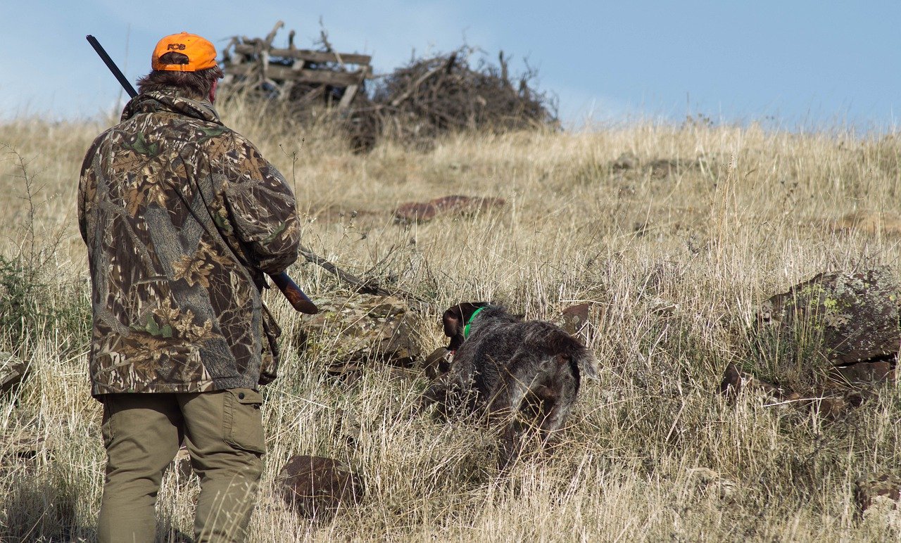 Que devez-vous savoir sur les bienfaits de la chasse?