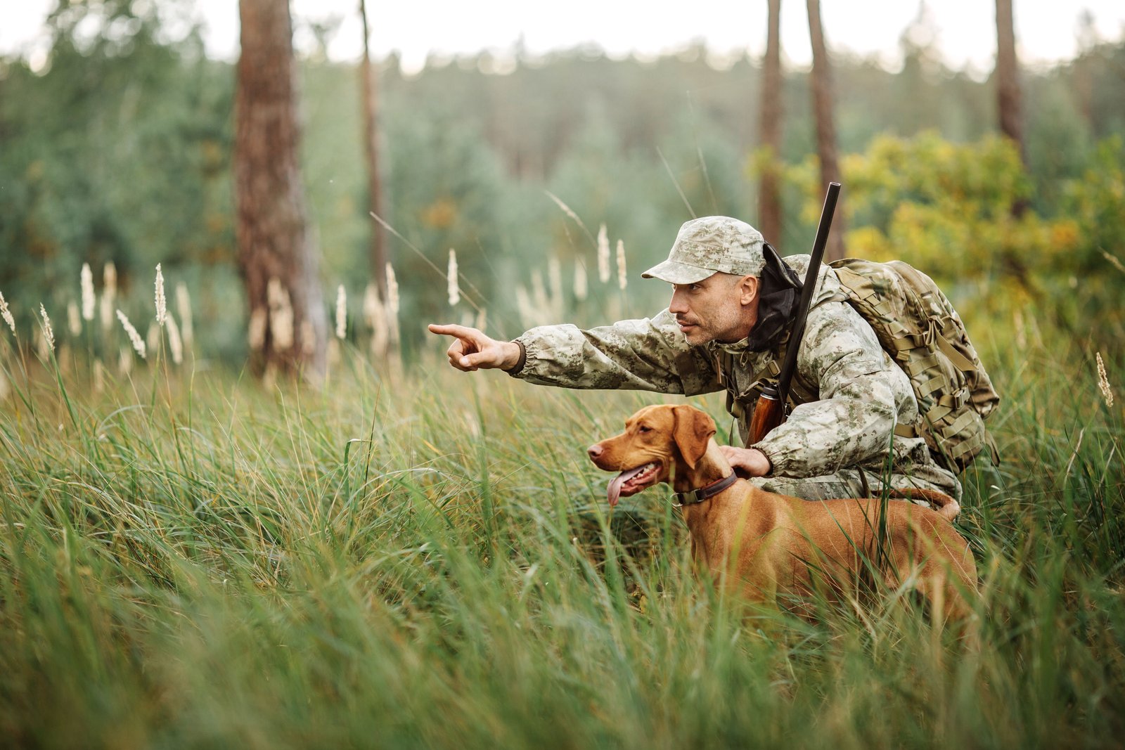 La chasse et ses différentes techniques