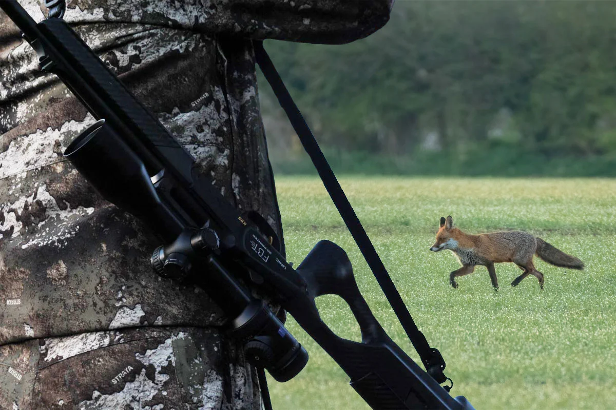 Comment être bien équipé pour pouvoir aller à la chasse ?