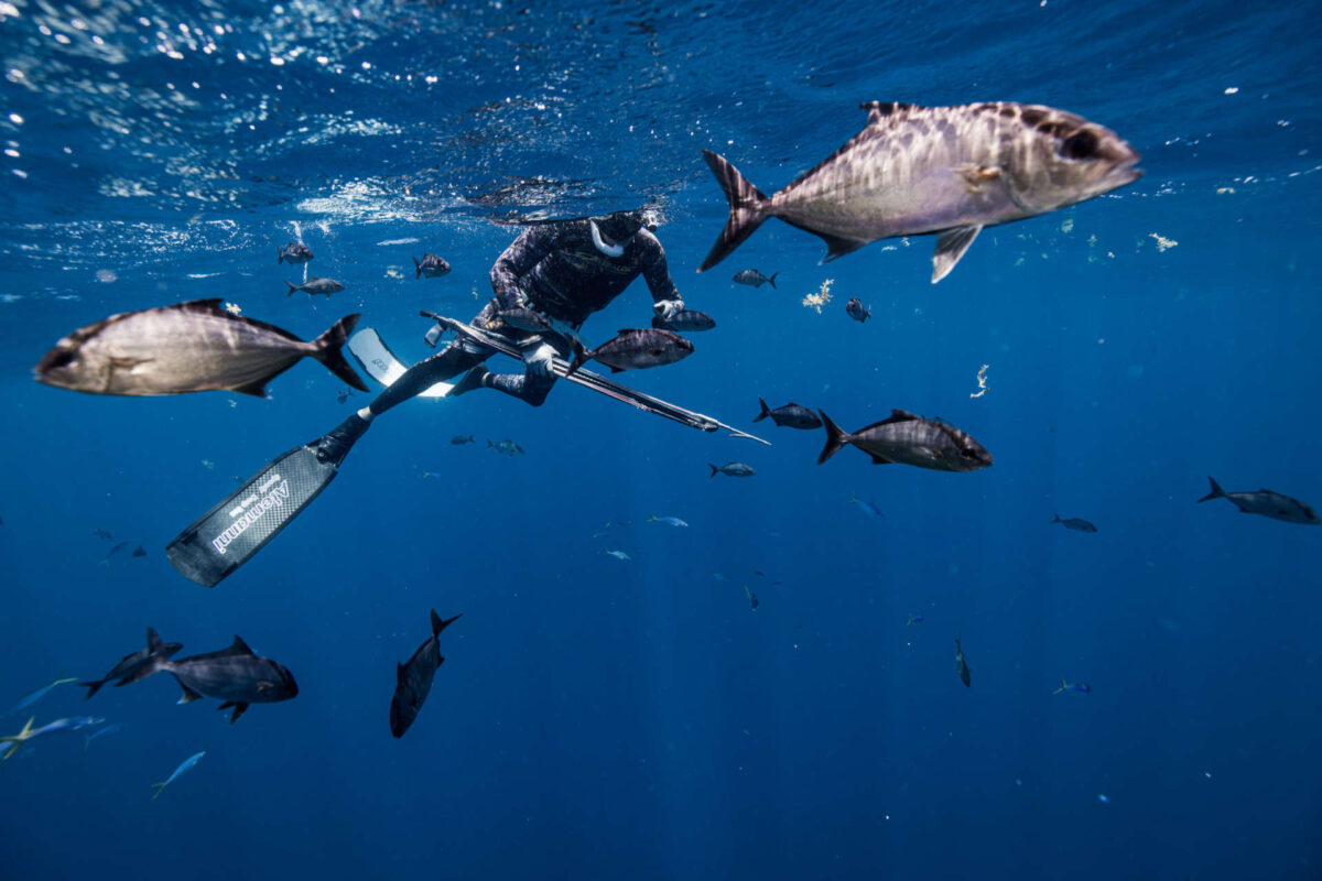 La chasse sous-marine: ce que vous devez savoir!